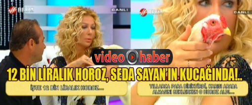  Hint Horuzu